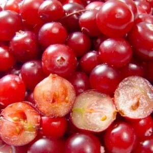 Cranberry