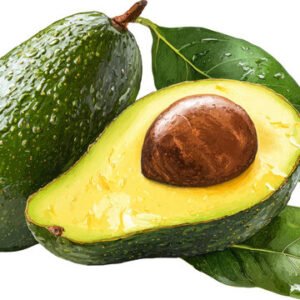Avocado ( Big )