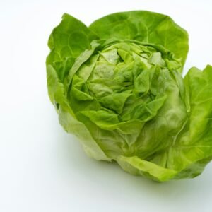 Cabbage