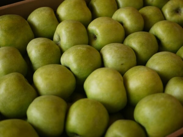 Granny Smith Green Apple