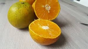 Local Oranges (1 dozen)