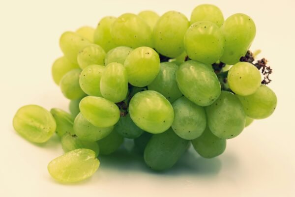 Green Seedless Grapes