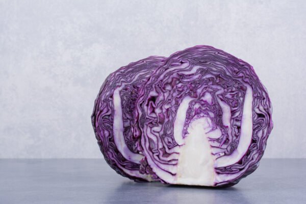 Purple cabbage
