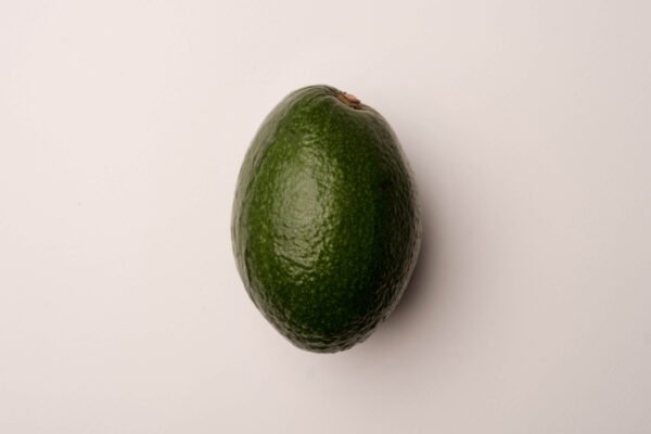 Avocado ( Medium )