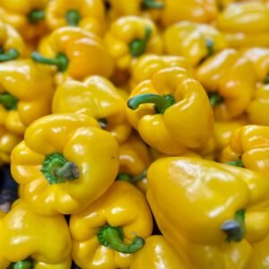 Yellow Bell Pepper