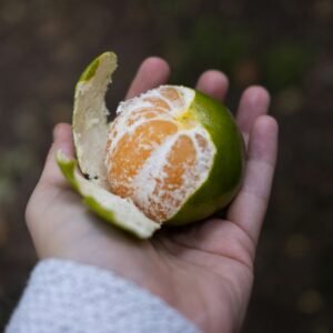 Local  Tangerine (single)