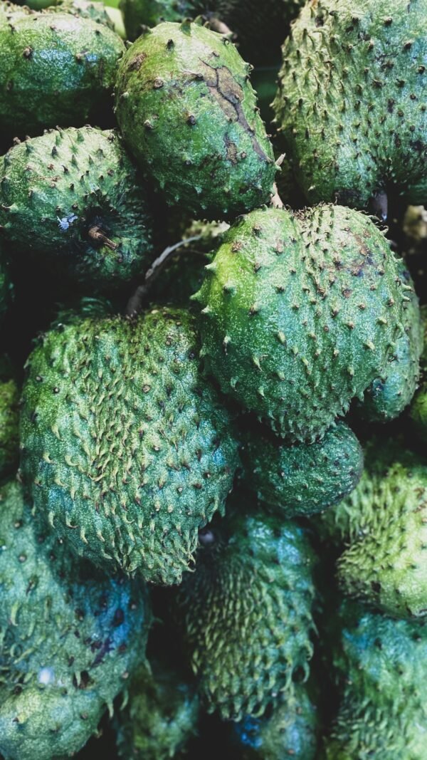 Soursop